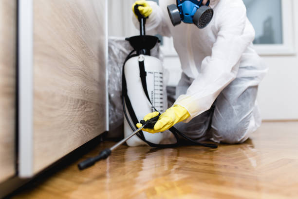 Best Residential Pest Control  in Easley, SC