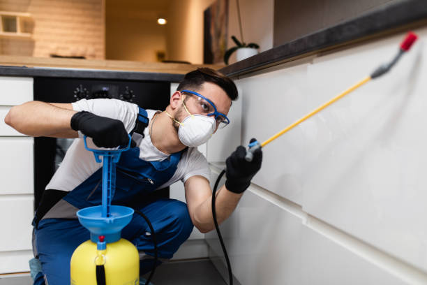 Best Bed Bug Extermination  in Easley, SC