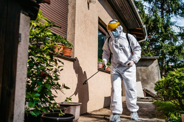 Best Exterminator Services  in Easley, SC