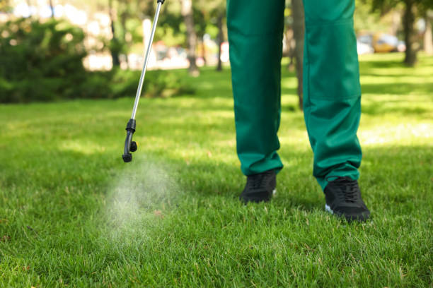 Best Best Pest Control Companies  in Easley, SC