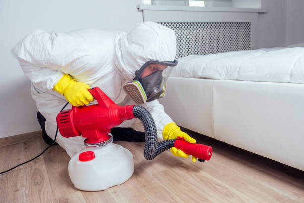 Best Exterminator Services  in Easley, SC