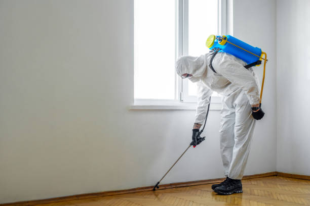 Best Mosquito Control Services  in Easley, SC