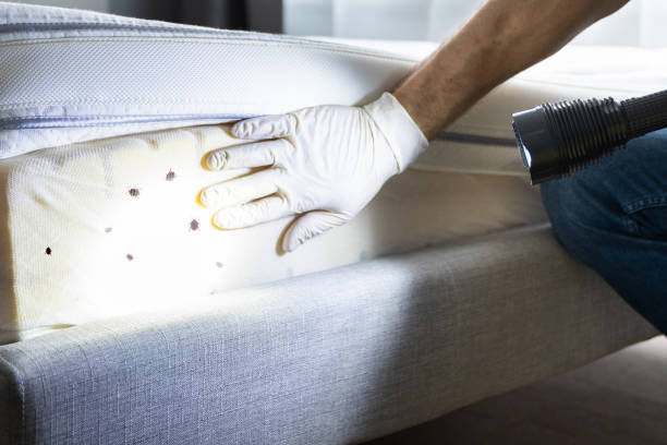 Best Pest Control Near Me  in Easley, SC