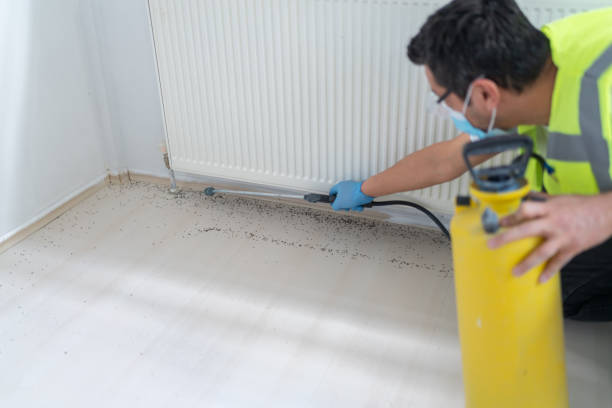 Best Pest Prevention Services  in Easley, SC