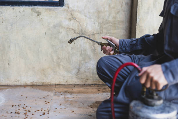 Best Pest Inspection Near Me  in Easley, SC
